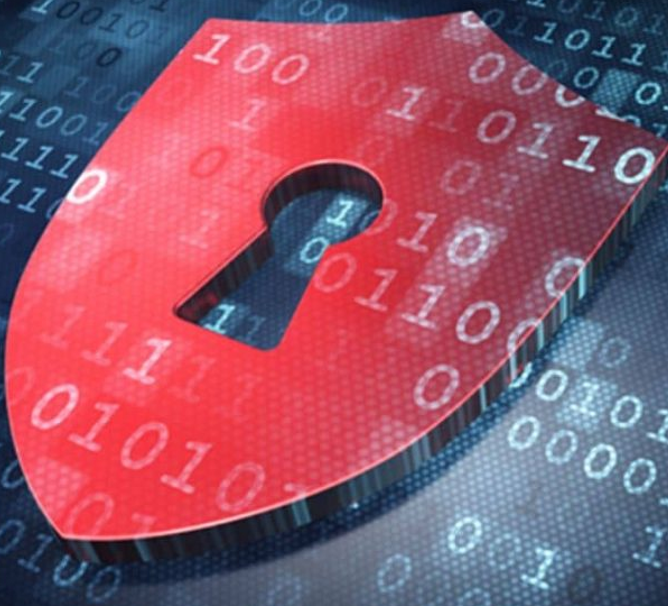 ¿Por qué elegir Server-Chile.Net?